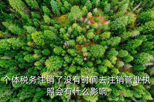 個(gè)體稅務(wù)注銷了沒有時(shí)間去注銷營業(yè)執(zhí)照會(huì)有什么影響