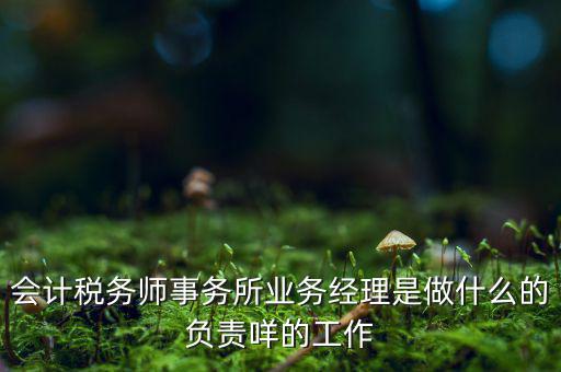 稅務(wù)師事務(wù)所做什么的，稅務(wù)所是干什么的
