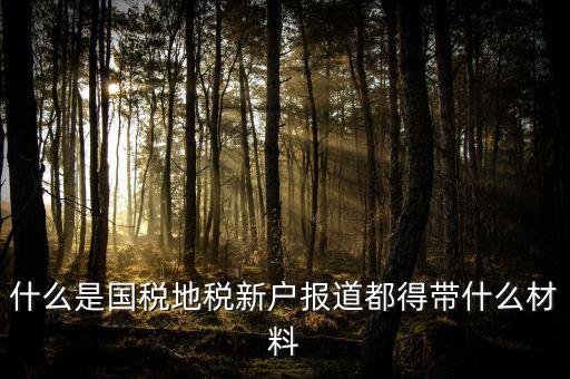 什么是國稅地稅新戶報(bào)道都得帶什么材料
