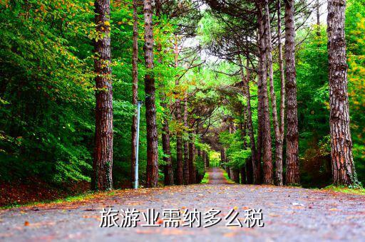 旅游業(yè)是什么稅，旅游行業(yè)需要交納什么稅呢