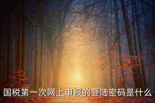 國稅申報登陸密碼是什么，國稅第一次網(wǎng)上申報的登陸密碼是什么
