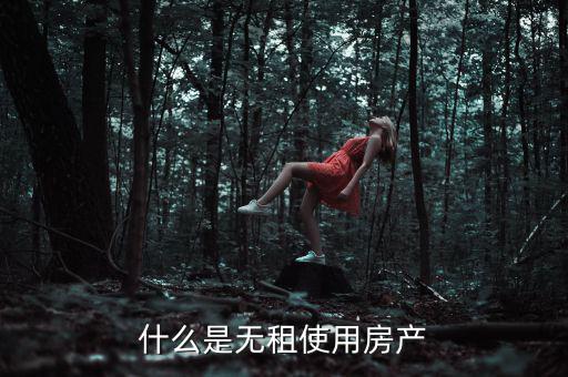 什么是無租使用房產(chǎn)，請(qǐng)問在經(jīng)濟(jì)法里無租使用房產(chǎn)是什么意思