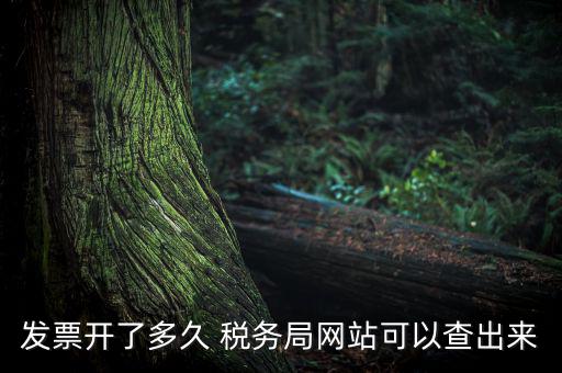 稅局一般什么時候查發(fā)票，增值稅發(fā)票開多久能在國家稅務(wù)局查到