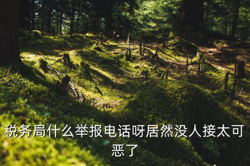 什么叫稅務(wù)舉報(bào)，稅務(wù)局什么舉報(bào)電話呀居然沒人接太可惡了