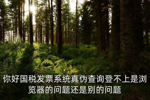 新疆國稅發(fā)票查詢?yōu)槭裁催M(jìn)不去，為什么國稅官網(wǎng)中電子發(fā)票查詢打不開