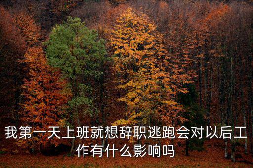 公司走逃會有什么后果，企業(yè)走逃對財務(wù)有甚么影響