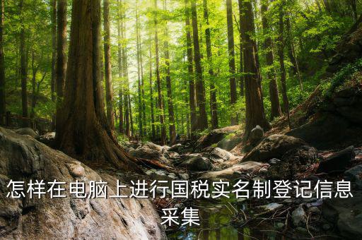 國(guó)稅采集需要什么資料，我想問(wèn)一下報(bào)國(guó)稅時(shí)有個(gè)發(fā)票信息采集在里面輸入什么信息呢