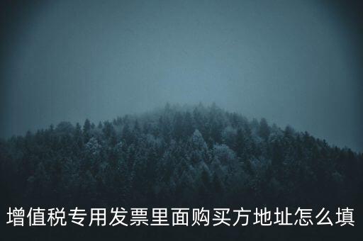增值稅專用發(fā)票里面購(gòu)買方地址怎么填