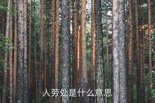勞務(wù)處是什么意思，人勞處是什么意思