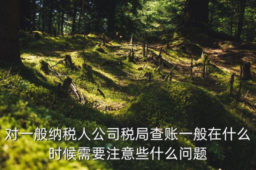 一般地稅稽查會(huì)在什么時(shí)候，稅務(wù)局什么時(shí)候會(huì)查賬不申報(bào)有哪些后果