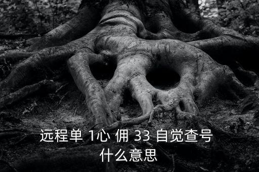 發(fā)查號是什么意思，查號怎么查