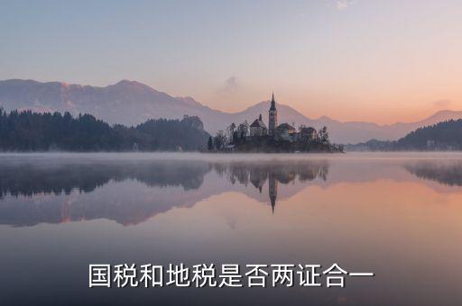 國稅的兩證合一是什么意思，國稅和地稅是否兩證合一