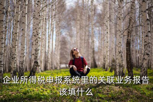 什么情況寫關(guān)聯(lián)申報(bào)，企業(yè)所得稅申報(bào)系統(tǒng)里的關(guān)聯(lián)業(yè)務(wù)報(bào)告該填什么