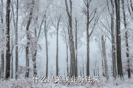 什么是關(guān)聯(lián)業(yè)務(wù)往來(lái)