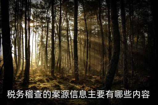 稅務(wù)督察內(nèi)審做什么的，內(nèi)審監(jiān)察主要工作職能