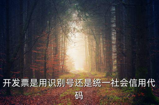 發(fā)票填寫統(tǒng)一社會(huì)代碼是什么，開發(fā)票要的稅號(hào)是統(tǒng)一社會(huì)代碼證號(hào)嗎