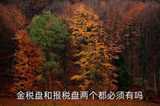 申報(bào)盤是什么，保險(xiǎn)兼業(yè)代理人資格申報(bào)電腦數(shù)據(jù)盤是什么意思