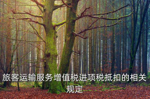 旅客運輸服務增值稅進項稅抵扣的相關(guān)規(guī)定