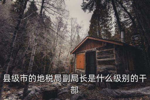 地稅局副局什么級(jí)別，縣級(jí)市的地稅局副局長(zhǎng)是什么級(jí)別的干部