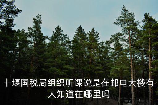 十堰國稅六辦指什么地方，十堰國稅局組織聽課說是在郵電大樓有人知道在哪里嗎