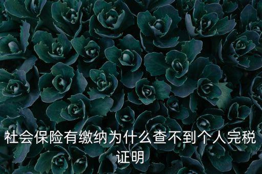 為什么查不到納稅記錄，社會保險有繳納為什么查不到個人完稅證明