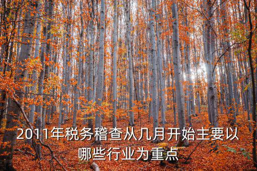2011年稅務稽查從幾月開始主要以哪些行業(yè)為重點