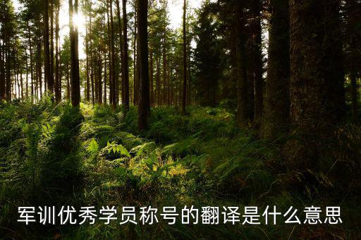 軍訓優(yōu)秀學員稱號的翻譯是什么意思