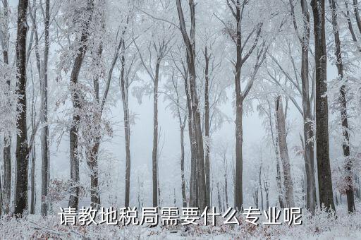 請(qǐng)教地稅局需要什么專(zhuān)業(yè)呢