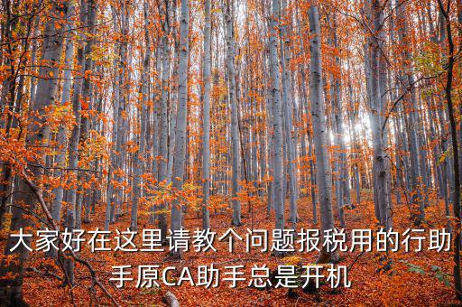 大家好在這里請教個(gè)問題報(bào)稅用的行助手原CA助手總是開機(jī)