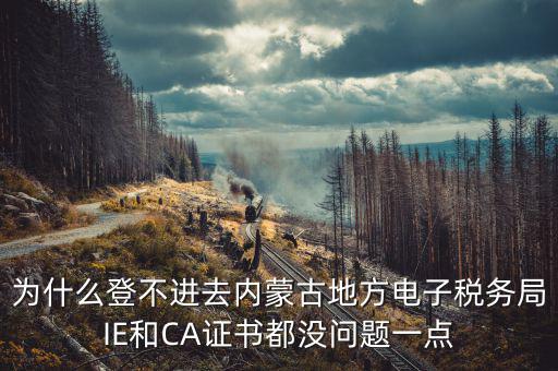 為什么ca登不了電子稅務局，國稅數(shù)字證書登陸失敗請問什么原因