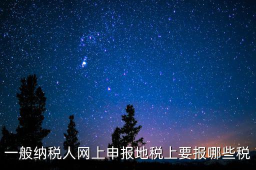 地稅都申報什么，一般納稅人網(wǎng)上申報地稅上要報哪些稅