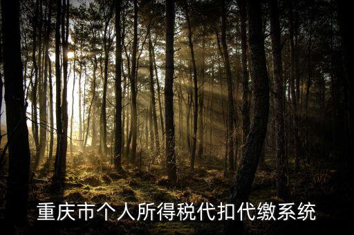 重慶網上繳稅什么網址，重慶市國稅網網址是多少