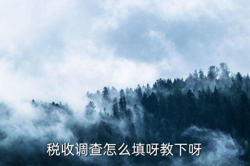 稅收調(diào)查主要調(diào)查什么，企業(yè)所得稅稅收調(diào)查