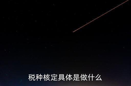 票中核定是什么核定的，哪些情況下要進(jìn)行國稅票種核定