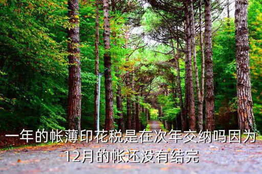 一年的帳薄印花稅是在次年交納嗎因?yàn)?2月的帳還沒(méi)有結(jié)完
