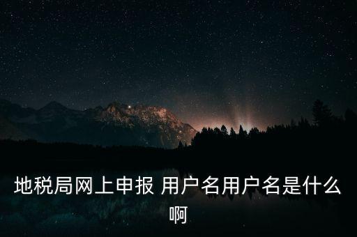 山東地稅網上申報賬號密碼是什么，地稅申報的用戶名和密碼是什么