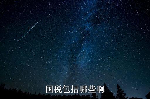 國稅涵蓋什么，國稅包括哪些啊
