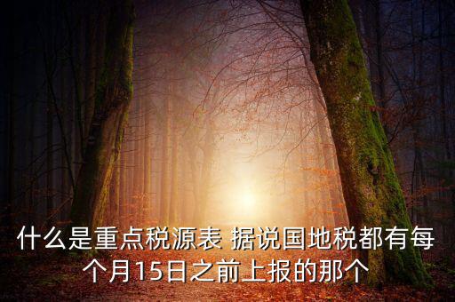 什么是重點稅源表 據說國地稅都有每個月15日之前上報的那個