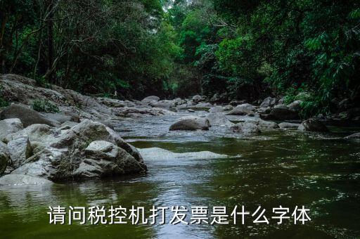發(fā)票用什么字體，請(qǐng)問(wèn)稅控機(jī)打發(fā)票是什么字體