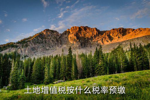 山東省土地增值稅按什么預(yù)繳，山東文登市土地增值稅預(yù)繳稅率是多少