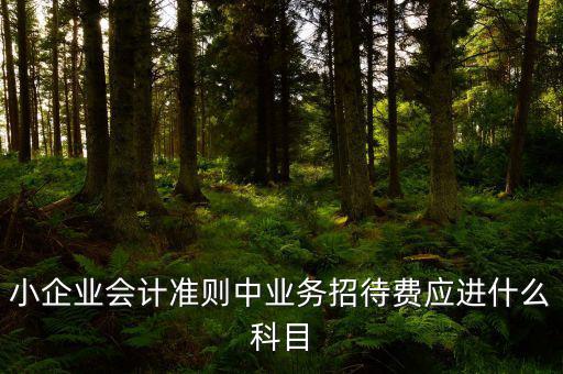 小企業(yè)會計準(zhǔn)則中業(yè)務(wù)招待費(fèi)應(yīng)進(jìn)什么科目