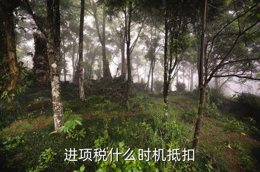 認(rèn)證的進(jìn)項稅什么時候抵扣，進(jìn)項稅什么時機抵扣