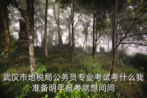 省地稅局復(fù)試考什么，武漢市地稅局公務(wù)員專業(yè)考試考什么我準(zhǔn)備明年報(bào)考就想問問