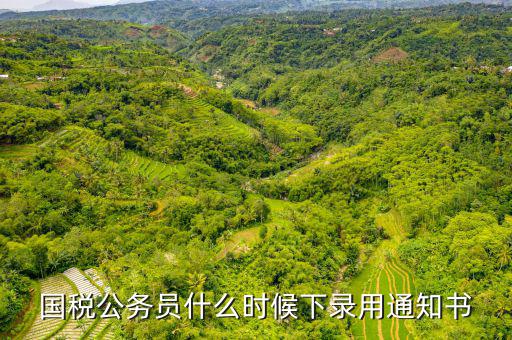 國稅公務員什么時候下錄用通知書