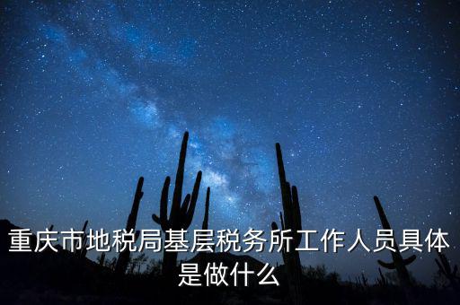 重慶地稅局前臺做什么的，重慶市地稅局基層稅務(wù)所工作人員具體是做什么
