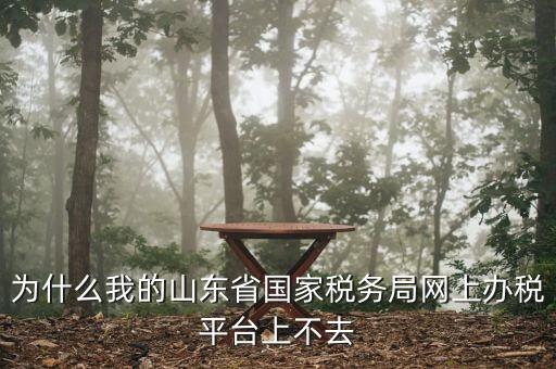 為什么我的山東省國家稅務局網(wǎng)上辦稅平臺上不去