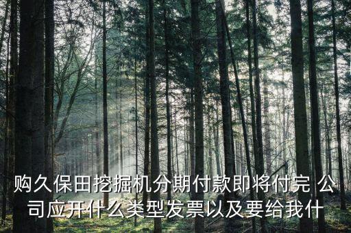 購(gòu)久保田挖掘機(jī)分期付款即將付完 公司應(yīng)開(kāi)什么類型發(fā)票以及要給我什