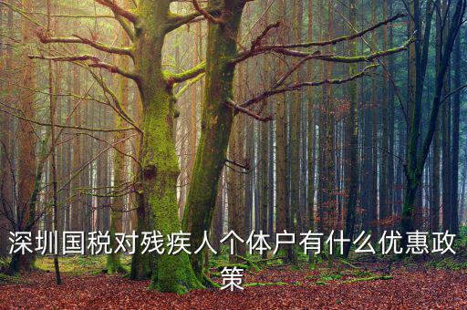 深圳國稅對殘疾人個(gè)體戶有什么優(yōu)惠政策