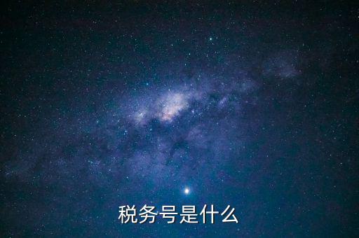什么是稅務(wù)登記號(hào)，稅務(wù)號(hào)是什么