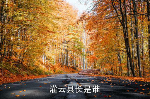 灌云國稅局局長叫什么，國家稅務局局長叫什么